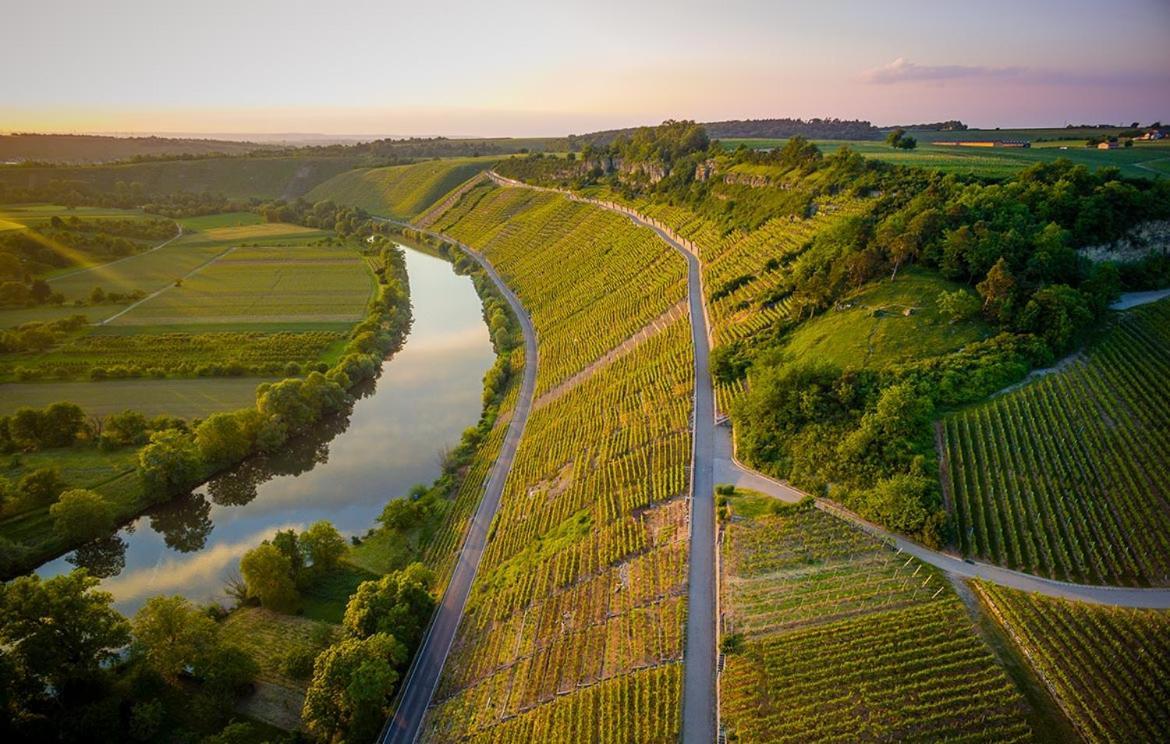 Exnicrum Wein . Genuss . Hotel Hessigheim Zewnętrze zdjęcie